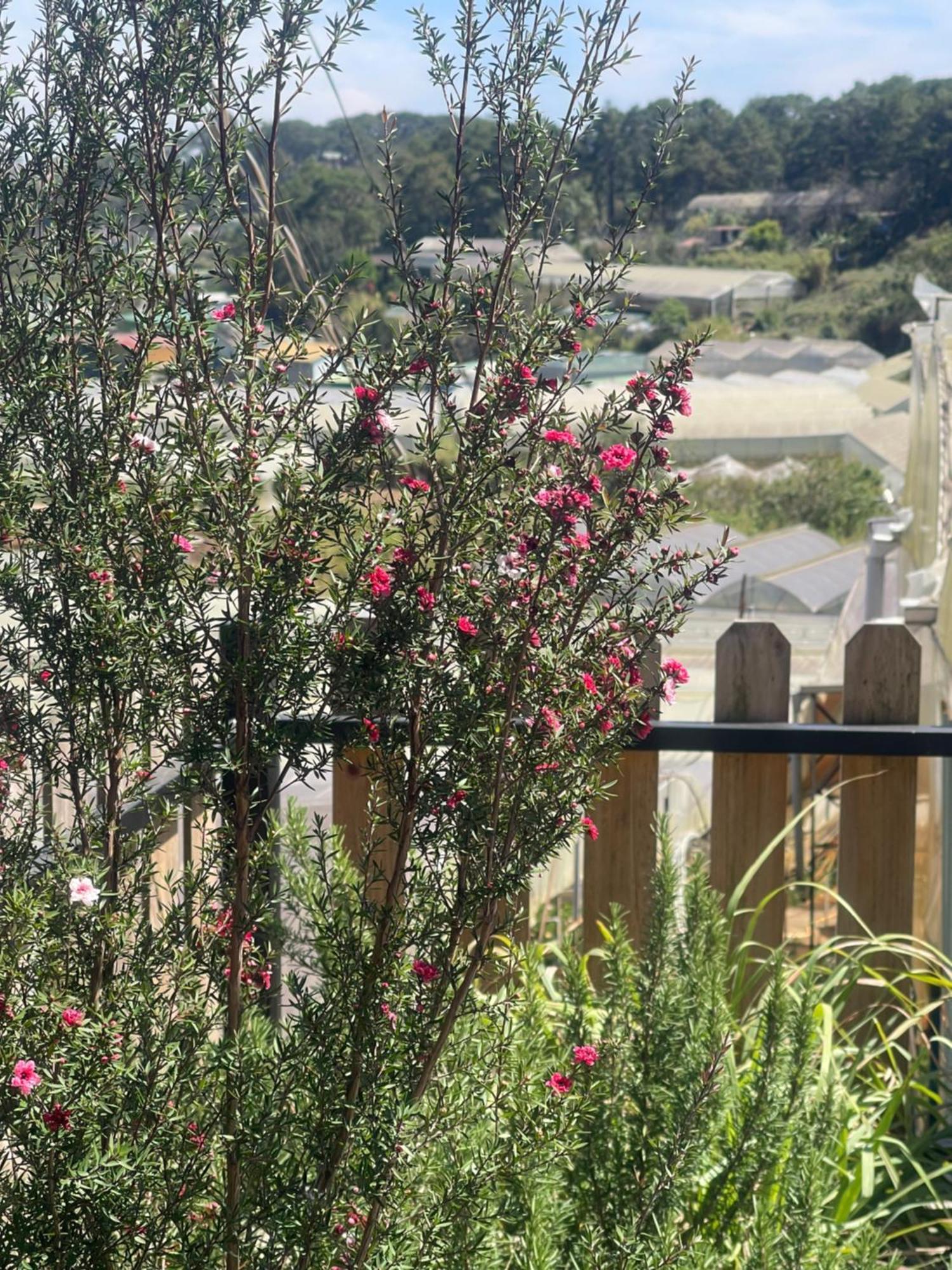 הוילה דה לאט Lucia House 2 מראה חיצוני תמונה